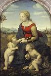 The Madonna of the Fish (The Madonna with the Archangel Raphael, Tobias and St, Jerome), C. 1513-Raffael-Framed Premier Image Canvas