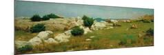 Giclee Print