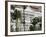 Raffles Hotel, Singapore, South East Asia-Amanda Hall-Framed Photographic Print