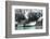 Raft on the Tasman Glacier Terminal Lake, South Island, New Zealand-David Noyes-Framed Photographic Print