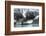 Raft on the Tasman Glacier Terminal Lake, South Island, New Zealand-David Noyes-Framed Photographic Print