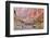 Rafters and Cliffs, Grand Canyon National Park, Arizona, USA-Matt Freedman-Framed Photographic Print