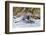 Rafters Going Through Rapids, Grand Canyon National Park, Arizona, USA-Matt Freedman-Framed Photographic Print