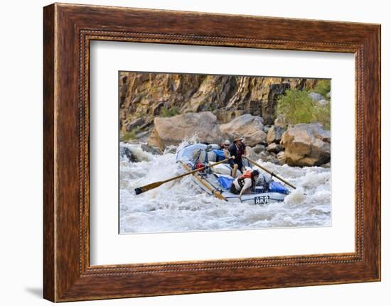 Rafters Going Through Rapids, Grand Canyon National Park, Arizona, USA-Matt Freedman-Framed Photographic Print