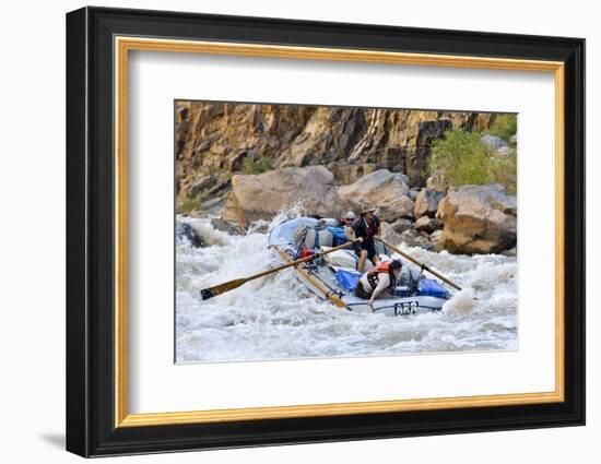 Rafters Going Through Rapids, Grand Canyon National Park, Arizona, USA-Matt Freedman-Framed Photographic Print