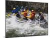 Rafting Action on the Salmon River, Idaho, USA-Dennis Flaherty-Mounted Photographic Print