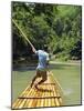 Rafting on the Martha Brae River, Jamaica, Caribbean, West Indies-Robert Harding-Mounted Photographic Print