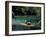 Rafting on the Martha Brae River, Jamaica, Caribbean-Greg Johnston-Framed Photographic Print