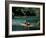 Rafting on the Martha Brae River, Jamaica, Caribbean-Greg Johnston-Framed Photographic Print