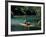 Rafting on the Martha Brae River, Jamaica, Caribbean-Greg Johnston-Framed Photographic Print