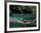 Rafting on the Martha Brae River, Jamaica, Caribbean-Greg Johnston-Framed Photographic Print