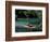 Rafting on the Martha Brae River, Jamaica, Caribbean-Greg Johnston-Framed Photographic Print