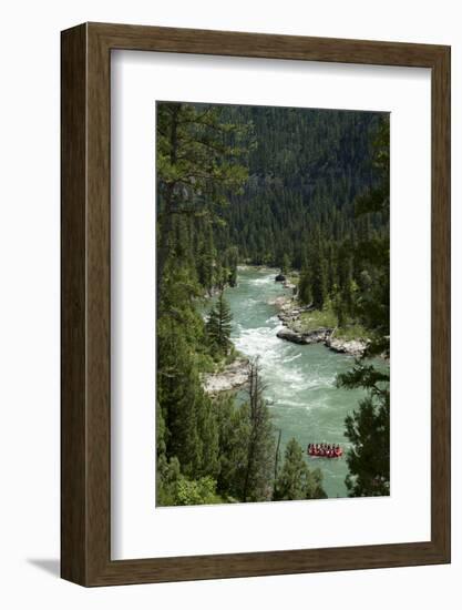 Rafting Through "Lunch Counter Rapid" (Class 3) on the Snake River Near Jackson, Wyoming-Justin Bailie-Framed Photographic Print