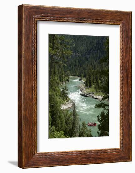 Rafting Through "Lunch Counter Rapid" (Class 3) on the Snake River Near Jackson, Wyoming-Justin Bailie-Framed Photographic Print