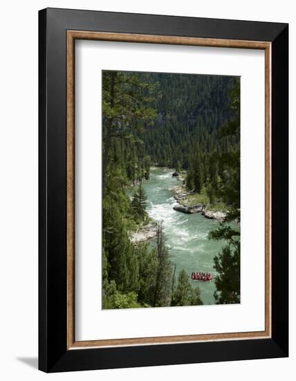 Rafting Through "Lunch Counter Rapid" (Class 3) on the Snake River Near Jackson, Wyoming-Justin Bailie-Framed Photographic Print