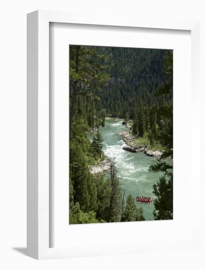 Rafting Through "Lunch Counter Rapid" (Class 3) on the Snake River Near Jackson, Wyoming-Justin Bailie-Framed Photographic Print