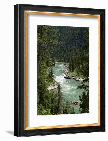 Rafting Through "Lunch Counter Rapid" (Class 3) on the Snake River Near Jackson, Wyoming-Justin Bailie-Framed Photographic Print