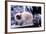 Ragdoll Cat on Fence-Darrell Gulin-Framed Photographic Print