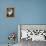 Ragdoll Cat-Savanah Stewart-Framed Premier Image Canvas displayed on a wall