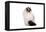 Ragdoll Cat-Fabio Petroni-Framed Premier Image Canvas