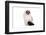 Ragdoll Cat-Fabio Petroni-Framed Photographic Print