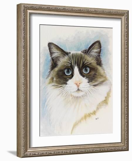 Ragdoll-Barbara Keith-Framed Giclee Print