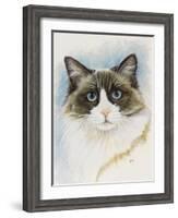 Ragdoll-Barbara Keith-Framed Giclee Print