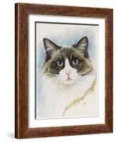 Ragdoll-Barbara Keith-Framed Giclee Print