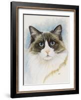 Ragdoll-Barbara Keith-Framed Giclee Print