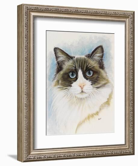 Ragdoll-Barbara Keith-Framed Giclee Print