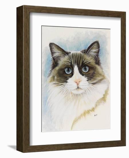 Ragdoll-Barbara Keith-Framed Giclee Print