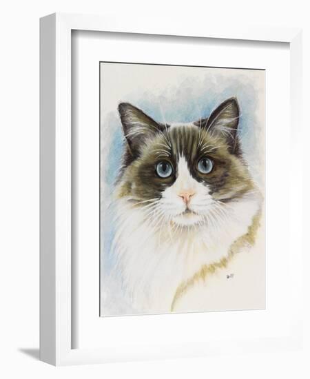 Ragdoll-Barbara Keith-Framed Giclee Print