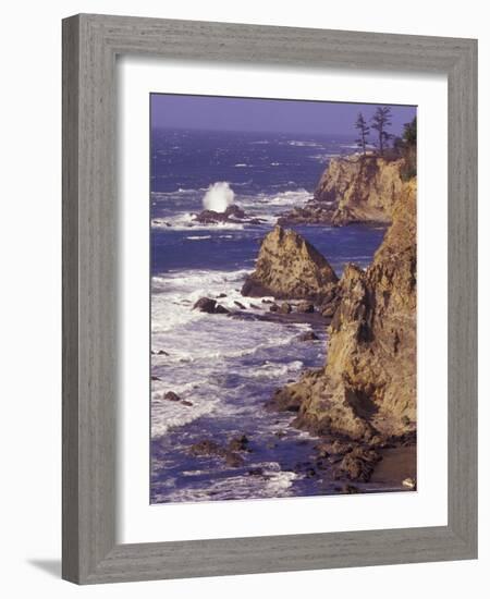 Ragged Coastline near Coos Bay, Oregon, USA-Adam Jones-Framed Photographic Print