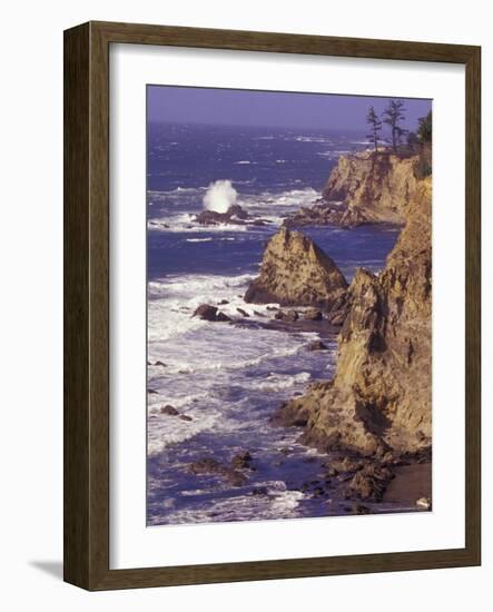 Ragged Coastline near Coos Bay, Oregon, USA-Adam Jones-Framed Photographic Print