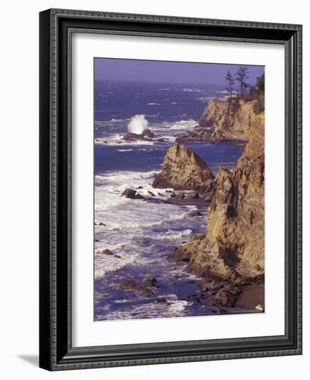 Ragged Coastline near Coos Bay, Oregon, USA-Adam Jones-Framed Photographic Print