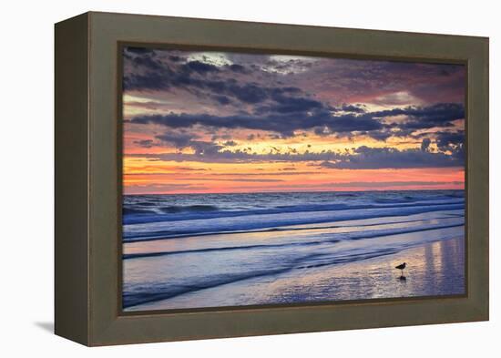 Ragged Sunrise I-Alan Hausenflock-Framed Premier Image Canvas