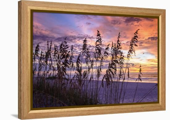 Ragged Sunrise III-Alan Hausenflock-Framed Premier Image Canvas