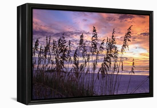 Ragged Sunrise III-Alan Hausenflock-Framed Premier Image Canvas