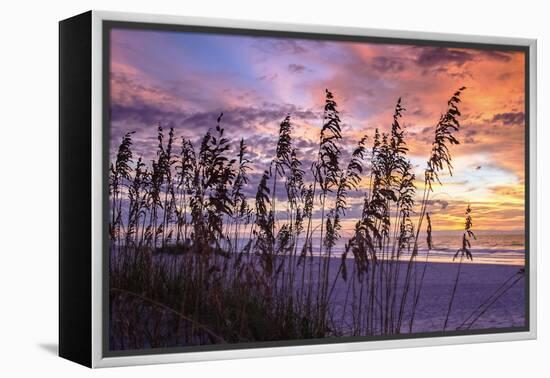 Ragged Sunrise III-Alan Hausenflock-Framed Premier Image Canvas