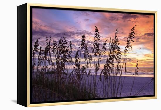 Ragged Sunrise III-Alan Hausenflock-Framed Premier Image Canvas