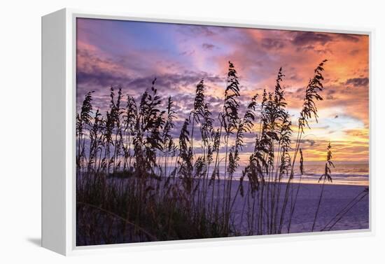 Ragged Sunrise III-Alan Hausenflock-Framed Premier Image Canvas