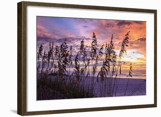 Ragged Sunrise III-Alan Hausenflock-Framed Photographic Print