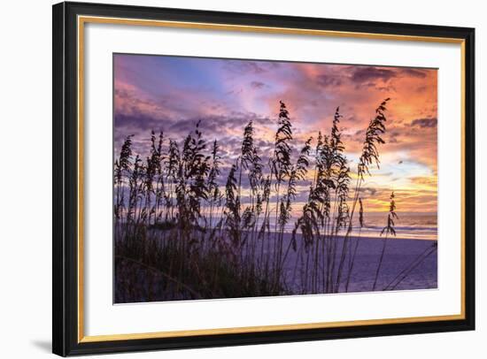 Ragged Sunrise III-Alan Hausenflock-Framed Photographic Print