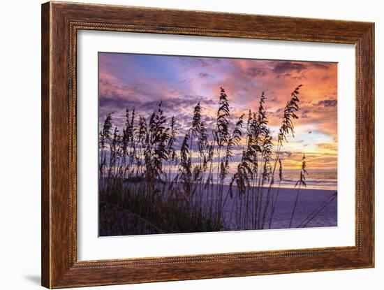 Ragged Sunrise III-Alan Hausenflock-Framed Photographic Print