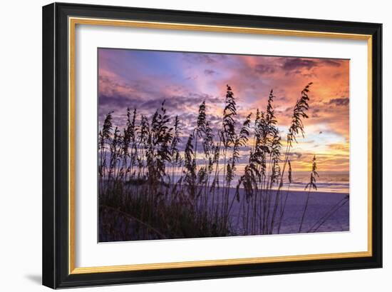 Ragged Sunrise III-Alan Hausenflock-Framed Photographic Print