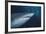 Ragged Tooth Shark-DLILLC-Framed Photographic Print