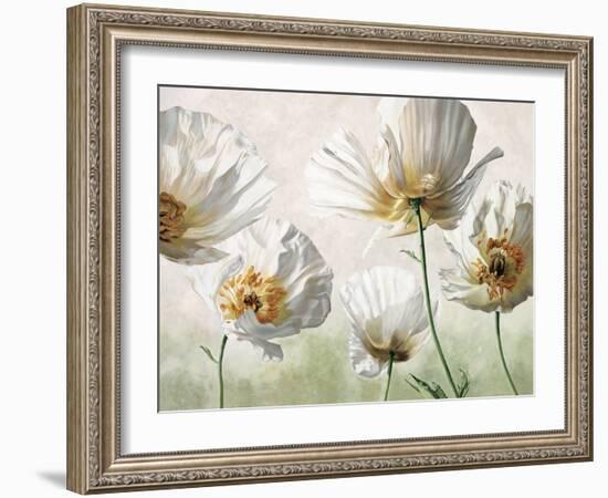 Raggi di sole-Eva Barberini-Framed Art Print