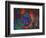 Raging Maelstrom-MusicDreamerArt-Framed Giclee Print