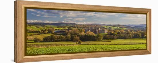 Raglan Castle, Monmouthshire, Wales, United Kingdom, Europe-Billy Stock-Framed Premier Image Canvas