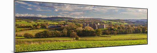 Raglan Castle, Monmouthshire, Wales, United Kingdom, Europe-Billy Stock-Mounted Photographic Print